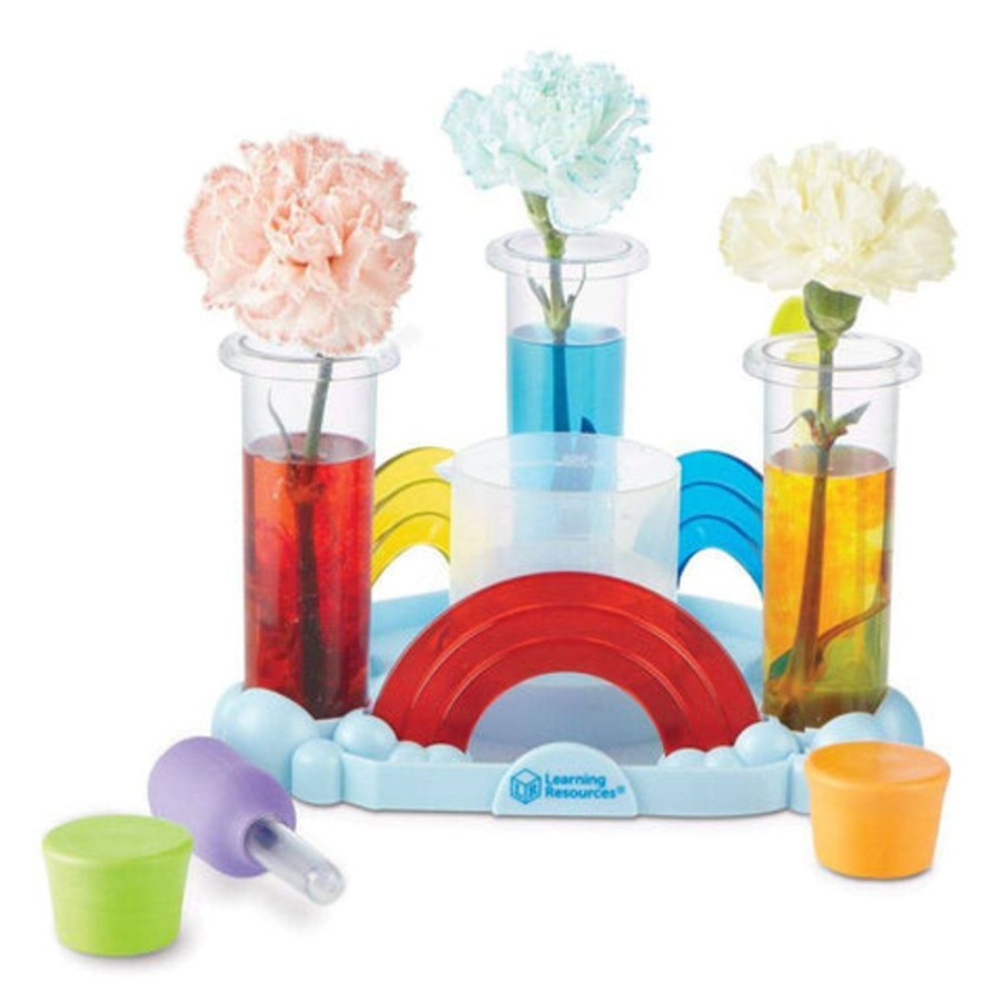 All New endorsed | Rainbow Reactions Preschool Science Lab